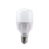 Đèn LED Bulb LBD2-12T