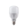 Đèn LED Bulb LBD2-12V