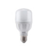 Đèn LED Bulb LBD2-15T