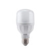 Đèn LED Bulb LBD2-15V