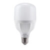 Đèn LED Bulb LBD2-20V