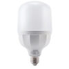 Đèn LED Bulb LBD2-40V