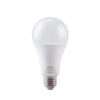 Đèn LED Bulb LBD3-12V 