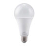 Đèn LED Bulb LBD3-15V