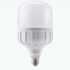 Đèn LED Bulb LBD3-40V