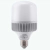 Đèn LED Bulb LB-20N