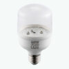 LED Bulb thanh long LBF-12