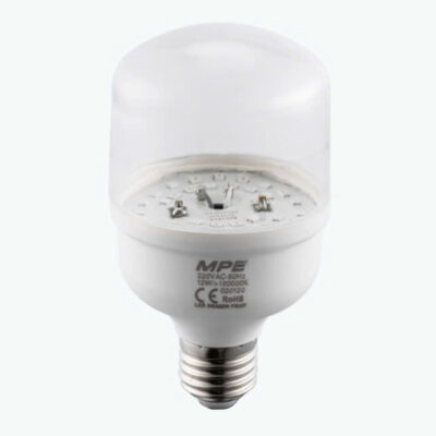 LED Bulb thanh long LBF-12